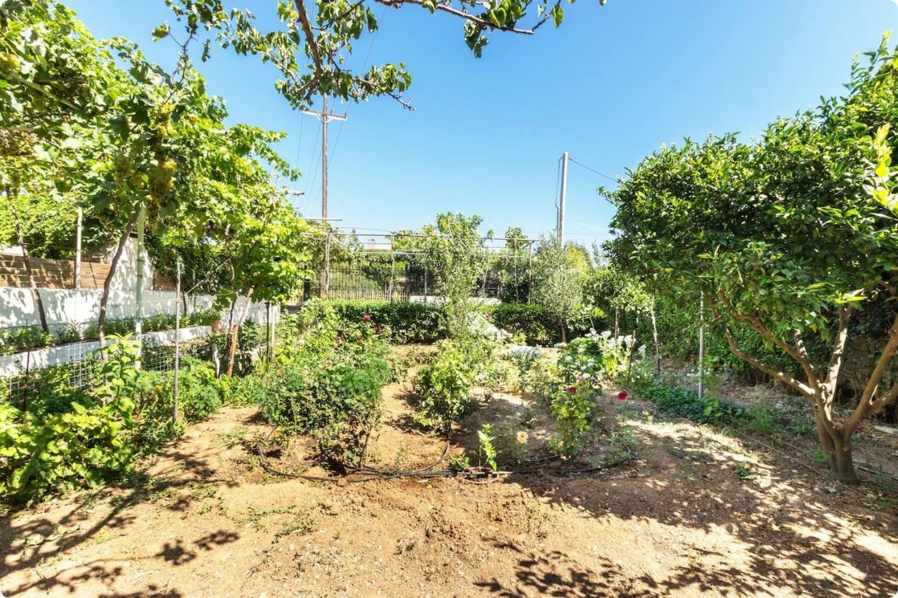 Οικια Elisabeth Artemida (Attica) Exterior foto