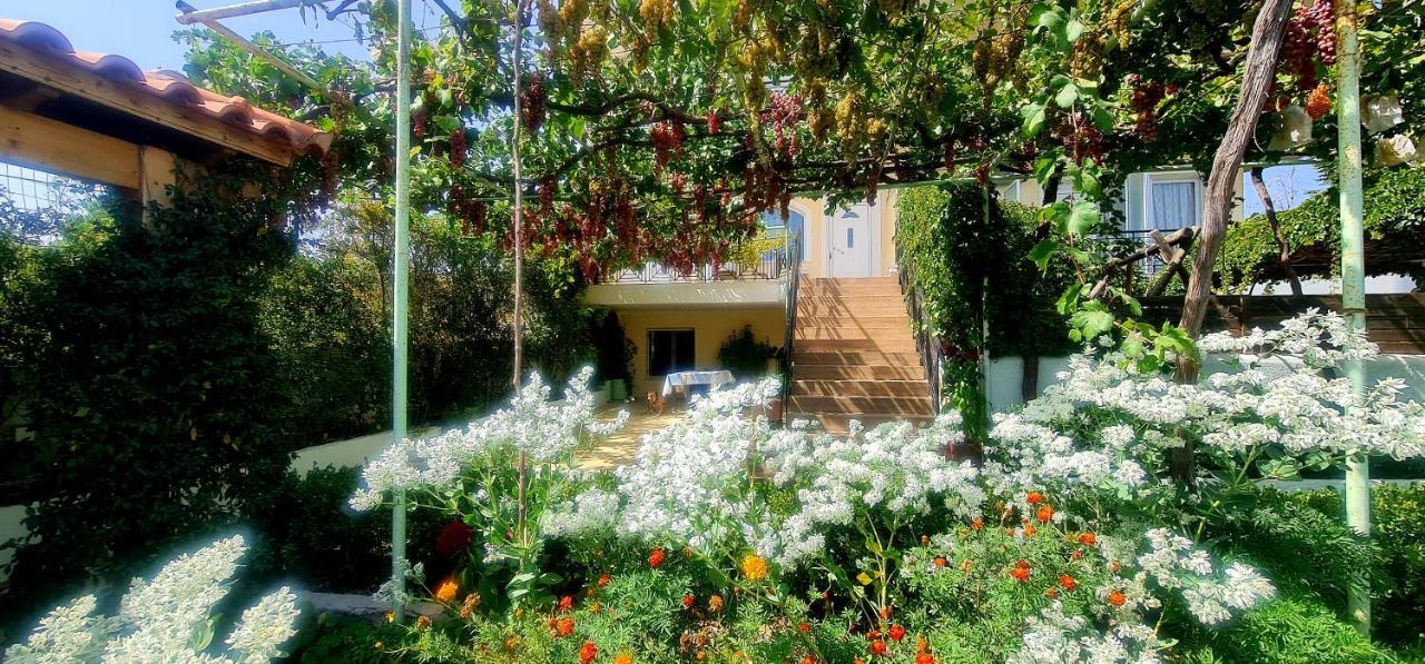 Οικια Elisabeth Artemida (Attica) Exterior foto